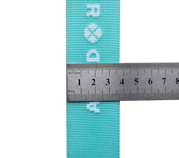 Patterned Nylon Webbing